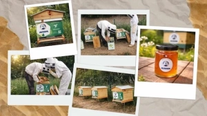 Zoom mieleaixam-mainimage-thumbnail.webp